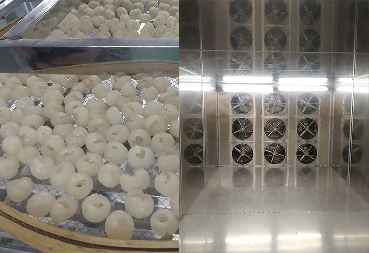 龍眼烘干機 龍眼烘干機