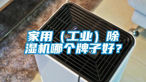 家用（工業）除濕機哪個牌子好？